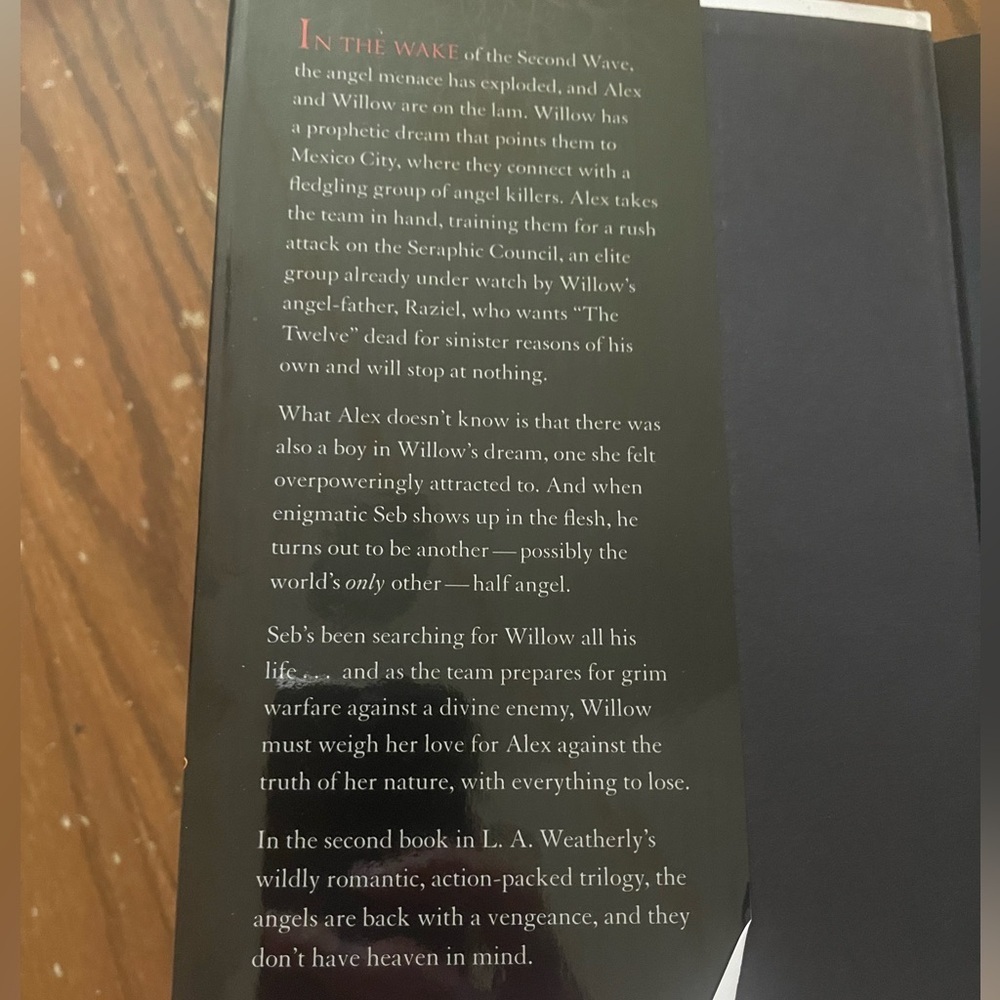 Angel Fire Book - Picture 4 of 4